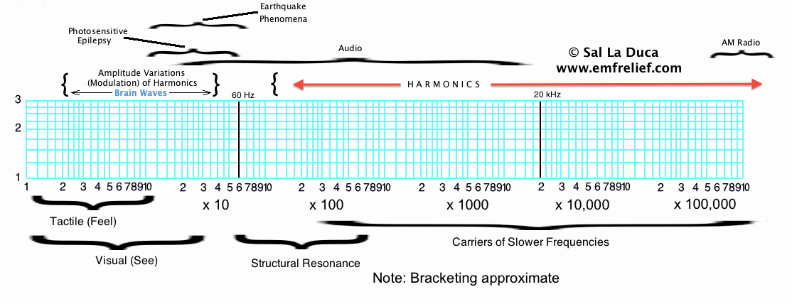 Harmonics & Biological relevance